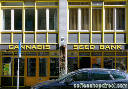 Amsterdam Seeds and Gifts grow shop