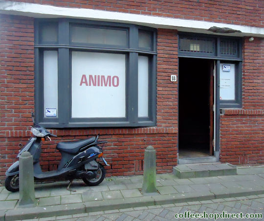 Animo coffee shop