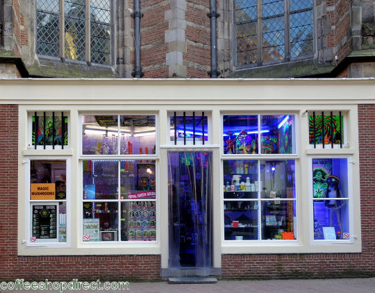Blue Moon smart shop