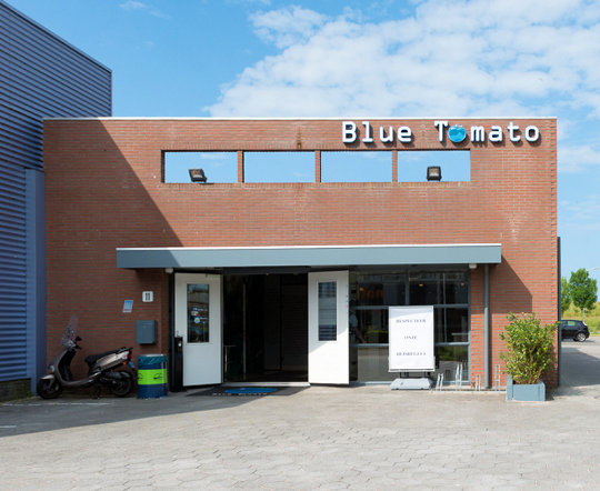 Blue Tomato coffee shop