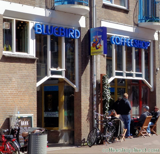 Bluebird coffee shop