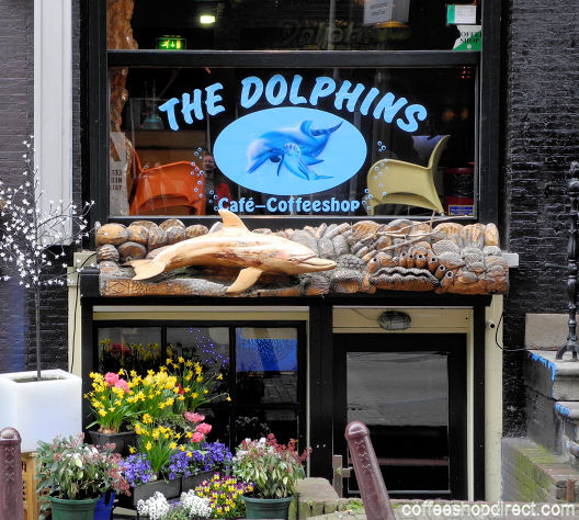 The Dolphins coffee shop