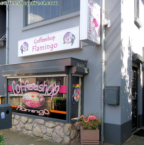Flamingo coffee shop