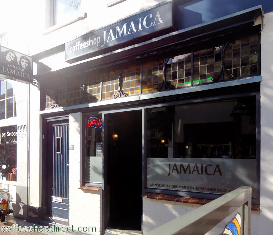 Jamaica coffee shop