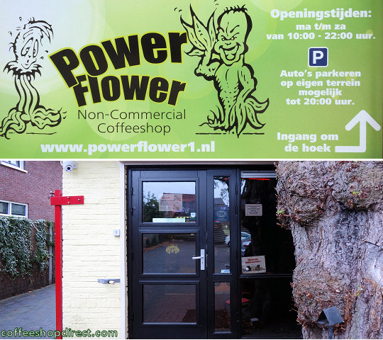 Power Flower coffee shop