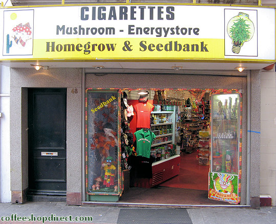 Rembrandt head shop