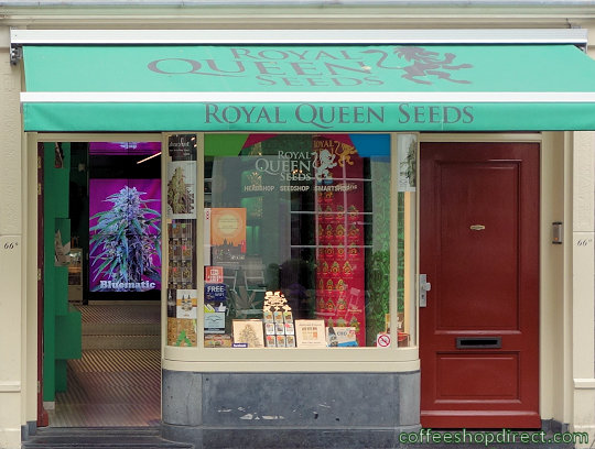 Royal Queen Seeds 3 grow shop