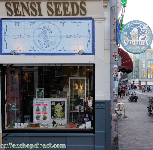 Sensi Seeds Corner Shop grow shop